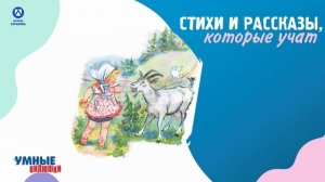 Аудиосказки. Жадная Шурочка