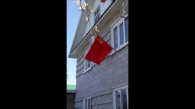 9 мая