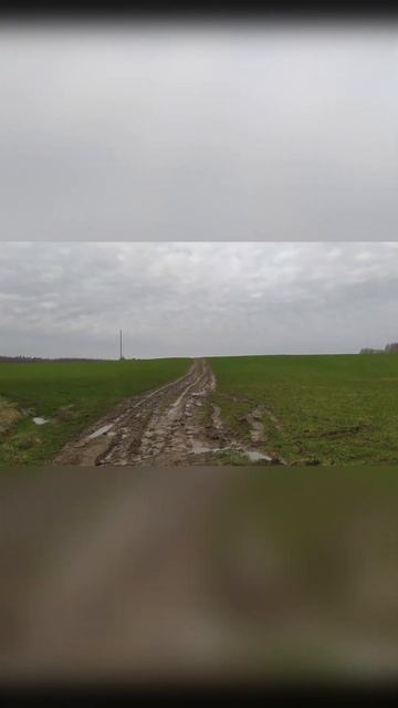 Молога.Разведка #15 Грунтовка на Устюжну #shorts #путешест? смотреть онлайн