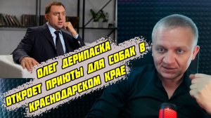 Олег Дерипаска откроет приюты для собак в Краснодарском крае