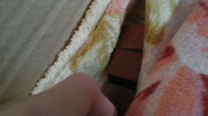 Симба и заяц в картонном домике😸