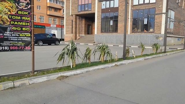 Vlog 38/25. Супер шампунь👍🏻/ Кабачковые вафли😋/Почти лето🤩 / Покрасилась /Покупки в Fix Price смотреть онлайн