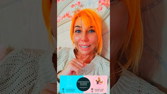 Вот добби со мной солидарен, как можно быть блогером и смотреть онлайн