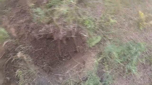 РАЗВЕДКА НОВЫХ МЕСТ ДЛЯ ПОИСКА КЛАДА!* Клад! KladTV*LOOKING FOR
