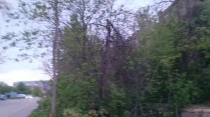 Заброшка 10-11 часть