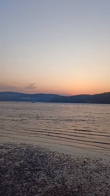 Если небо вспыхнет огнём...#владивосток #собака #закат # смотреть онлайн