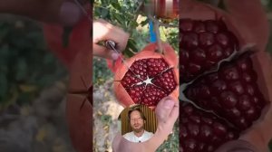 Что произойдёт, если есть гранаты каждый день?#гранат #