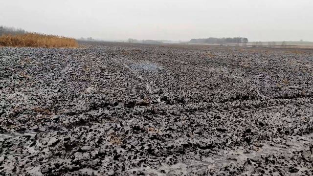  МОЩНАЯ ПЕТАРДА  ЛЕДЯНОЕ ПОЛЕ Взорвал Гранату ?