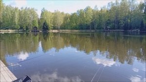 Очень хорошие уловы форели за ночь на Нижнем. Клёвое место лосиный остров.