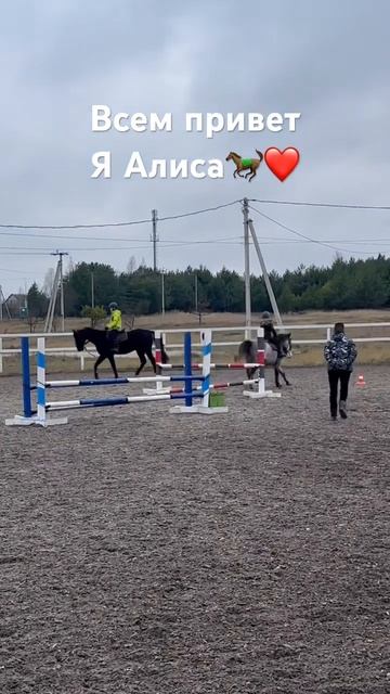 Немного о себе: я Алиса занимаюсь конным спортом 3 года смотреть онлайн