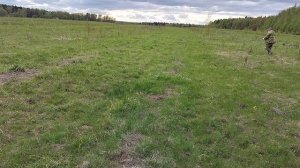 Знакомство щенка с подсадным перепелом.mp4