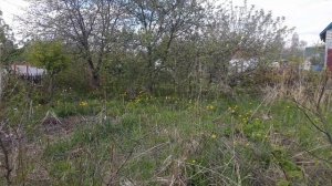 Дача на Досуговском