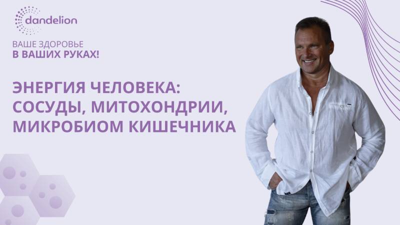 Три важных аспекта энергии человека: сосуды, митохондрии и микробиом кишечника!