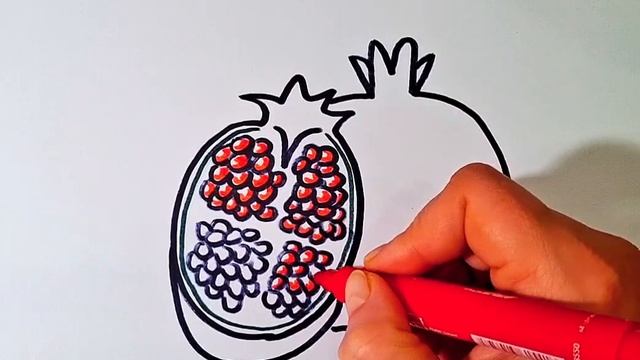 Простой рисунок: гранат в разрезе смотреть онлайн