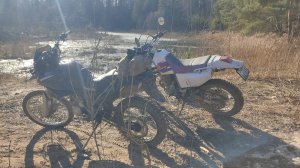 Yamaha TTR и Irbis XR по заваленным лесам
