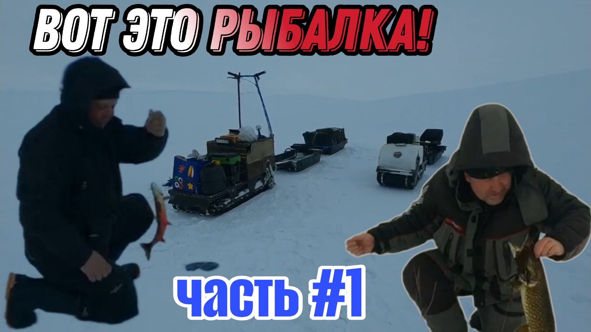 ЛУЧШАЯ РЫБАЛКА сезона. СТОЛЬКО Гольца и Кумжи я еще НЕ ЛОВИЛ. Часть 1.
