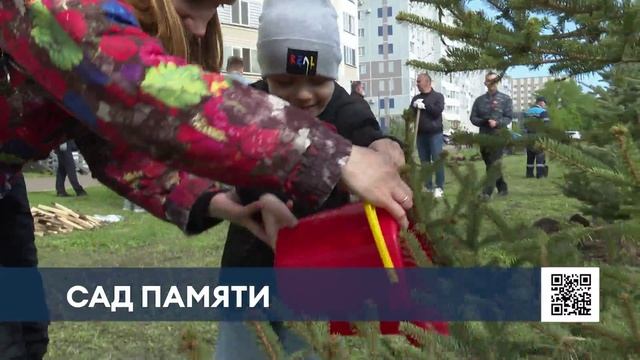 Живая память: нижнекамцы высадили голубые ели в честь 80-летия Победы