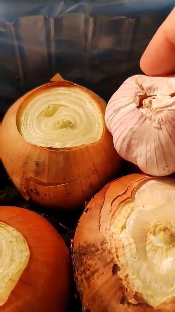 Зима затяжная, необходимы натуральные витамины, Лук н? смотреть онлайн