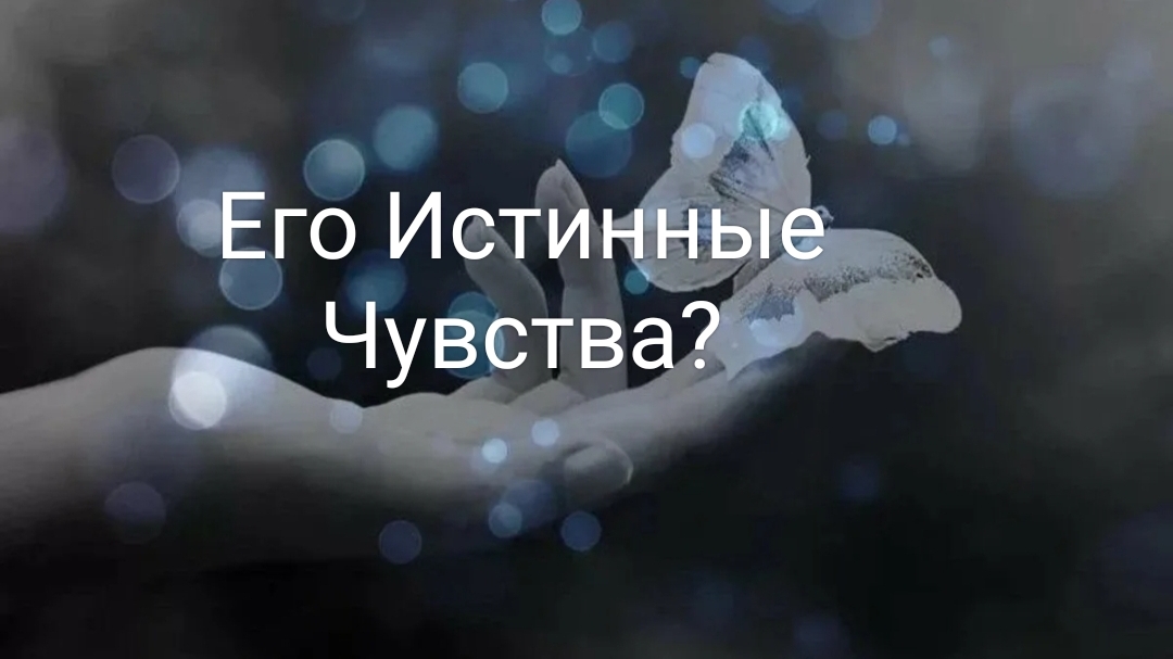 Его искренние чувства!