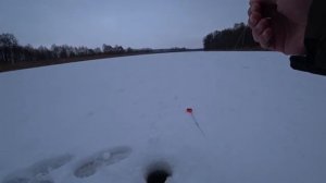 Ловля Крупного Окуня на озере. Зимняя рыбалка 2020.