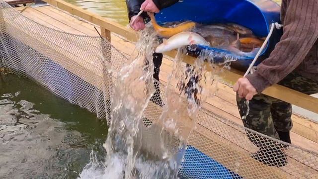 09-05-2025 смотреть онлайн