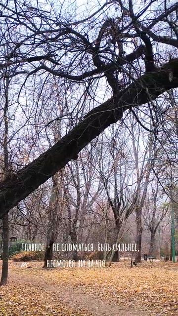 Главное - не сломаться, быть сильнее, несмотря ни на чт? смотреть онлайн