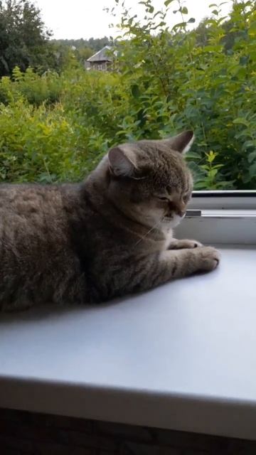 Что может быть лучше, чем сон на свежем воздухе 👍👍👍 смотреть онлайн