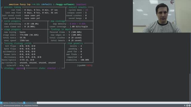 Fuzzing-тестирование: практика на AFL