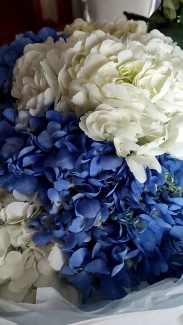 #цветы #букет #счастье #женщина #jazzdauren #shorts смотреть онлайн