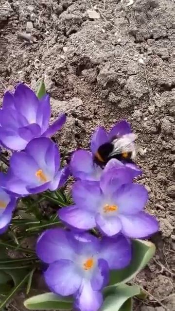 Есть прекрасная новость! До весны меньше 3х месяцев!!! С смотреть онлайн