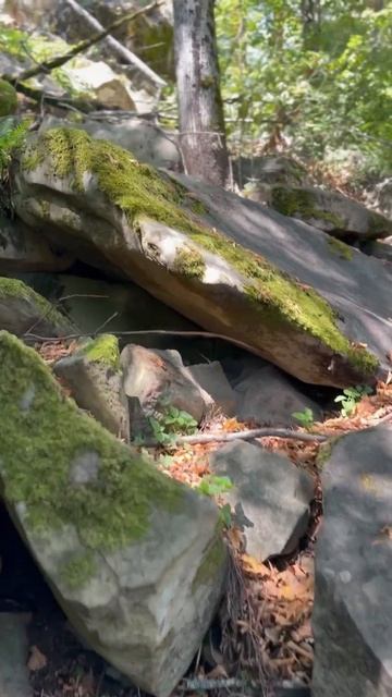 #краснодар #красныескалы #походвыходногодня #поход #го смотреть онлайн