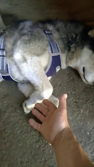 #во всем и везде есть знаки судьбы!а нужно им прислушив смотреть онлайн