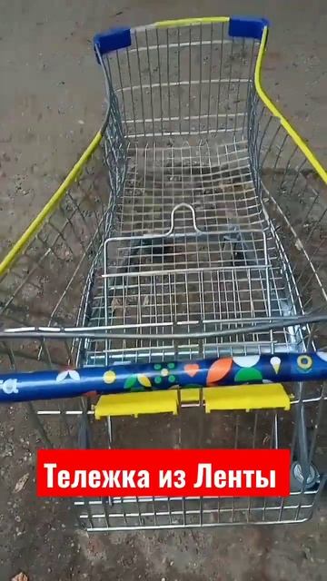 Магазин Лента теряет свои тележки #shorts #slaviklife #славикл? смотреть онлайн