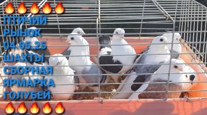 🔥🔥🔥 Птичий рынок в г.Шахты. Сборная ярмарка голубей. Pigeons Fair. Bird Market.