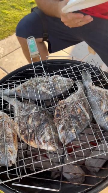 В начале все было ок,но потом весь кайф пикника испорт? смотреть онлайн