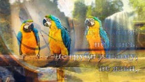 🌞 Доброе утро! Открытка с пожеланиями хорошего дня и ?