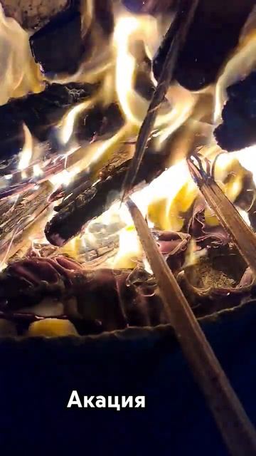 #очаг #буржуйка #зима #акация смотреть онлайн