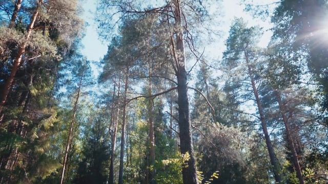 Ты человек! (Мотивационное видео) смотреть онлайн