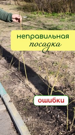 НЕПРАВИЛЬНАЯ посадка