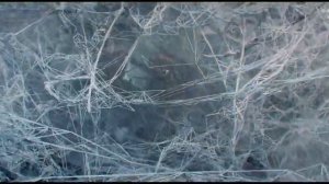 Станция 88 (2019) HD