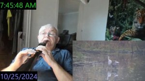 Может быть, пора угомониться