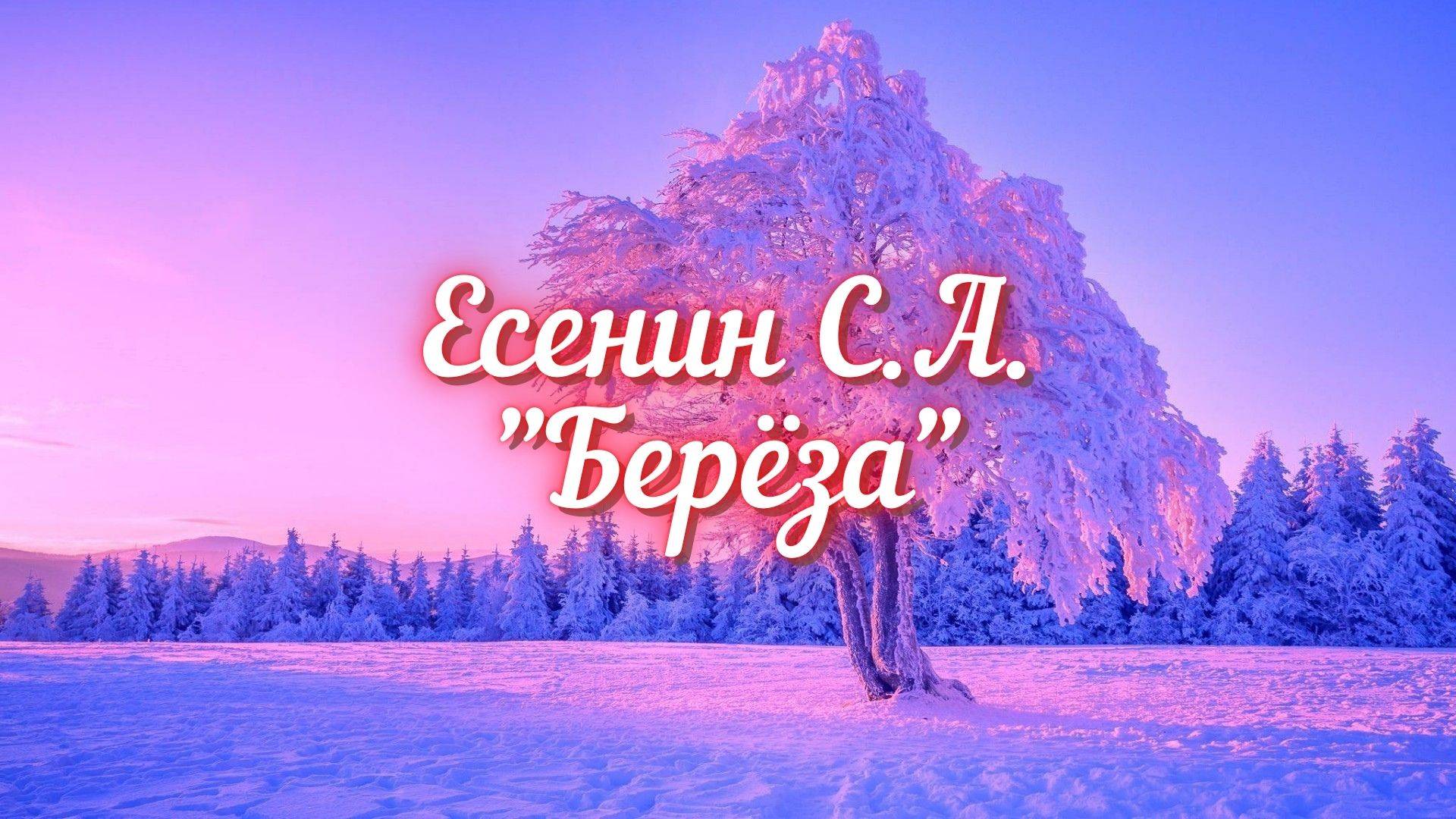 Есенин С.А. Берёза (Белая берёза под моим окном...)