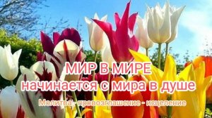 Остановись. Помолись вместе с нами ради мира.