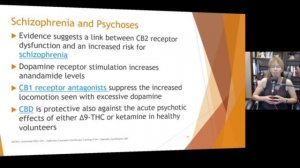 Endocannabinoids and Mental Health