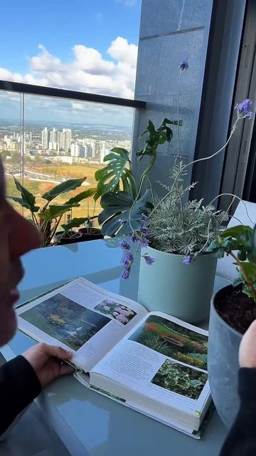 ГОРТЕНЗИЯ ЗИМОЙ В ЖАРКИХ СТРАНАХ смотреть онлайн