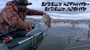ЛОВЛЮ ПО-КРУПНОМУ...| РЫБАЛКА В КАМЫШАХ