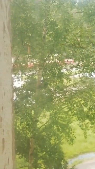 трамвай 52 лвс 86к санкт Петербурга❤️52❤️ смотреть онлайн