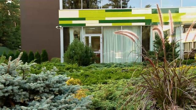 Ролик №11. Лекция о фруктозе. Влияние фруктозы на здоровье человека смотреть онлайн