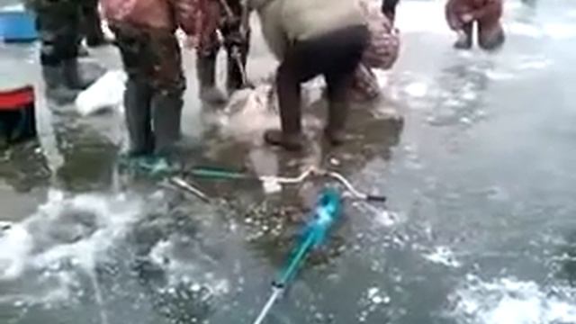 ШОК Зимняя рыбалка Огромная рыба смотреть онлайн