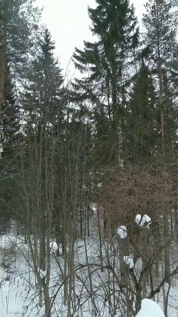 деревня на севере смотреть онлайн